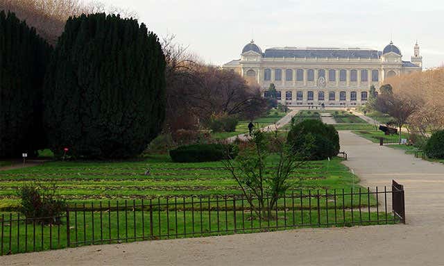 Jardin des Plantes, Paris, France - Activity Review