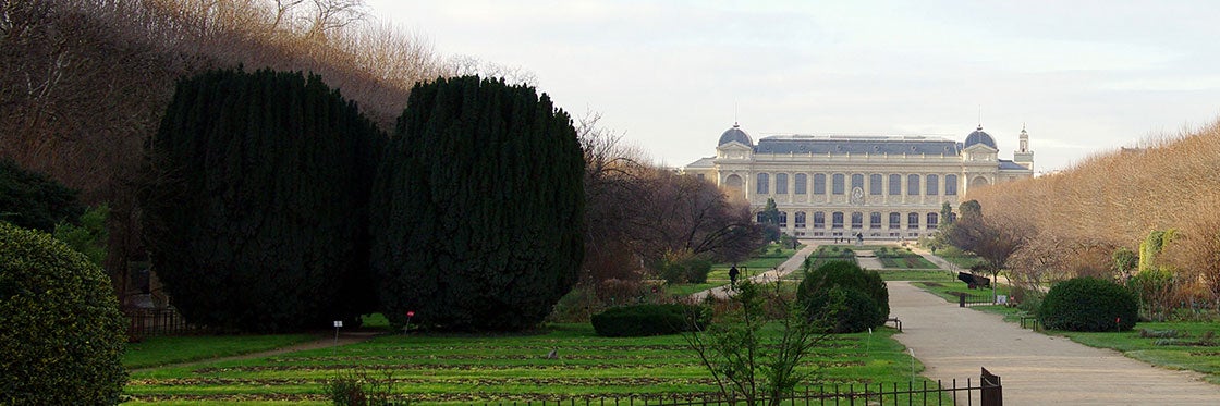 Le Jardin des Plantes; a Paris garden
